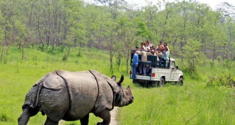 skypark holidays-Jungle Safari